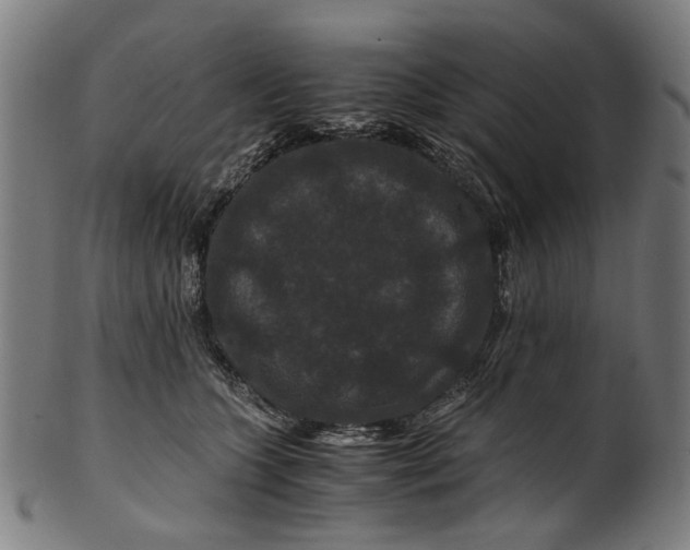 X0000100880563200807111345