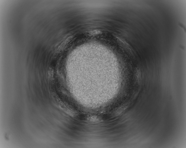 X0000100880565200807111345