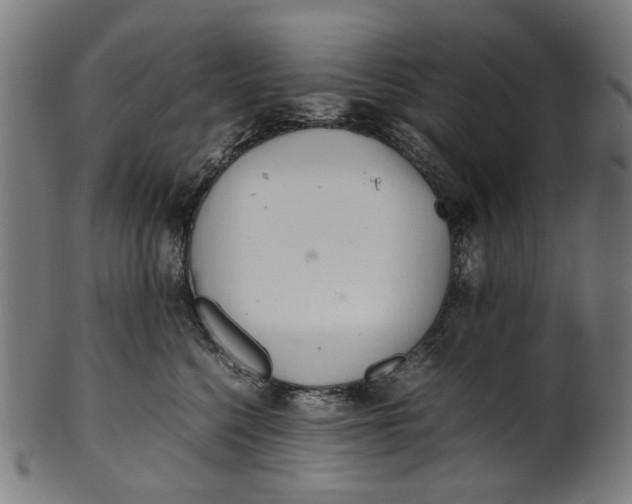 X0000100880568200807111345