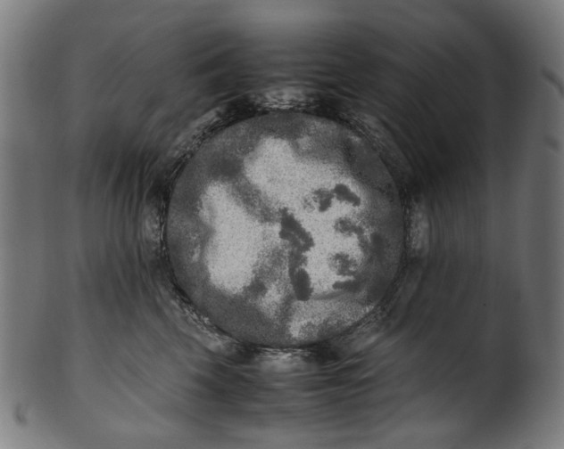 X0000100880569200807111345