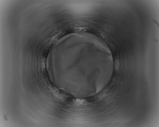 X0000100880570200807111345