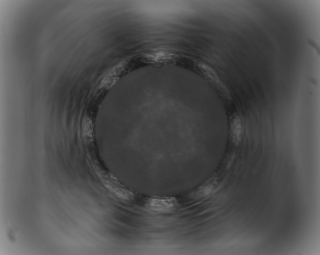 X0000100880571200807111345