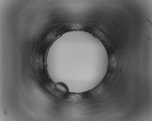 X0000100880572200807111345