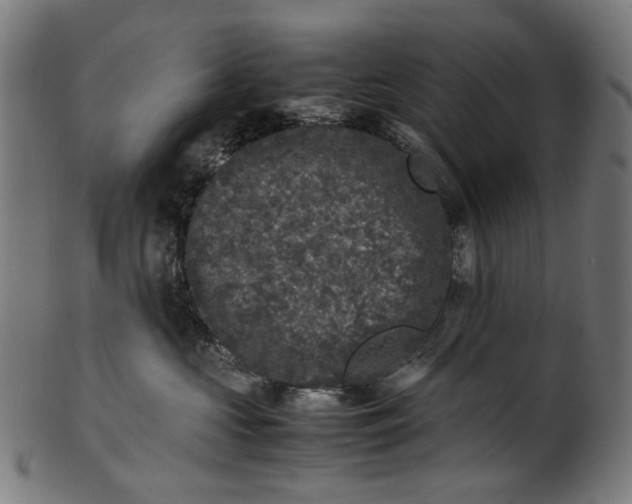 X0000100880573200807111345