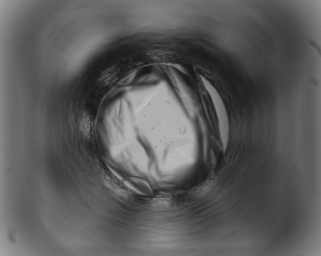 X0000100880574200807111345