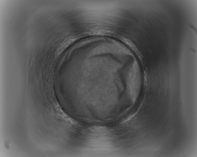 X0000100880577200807111345