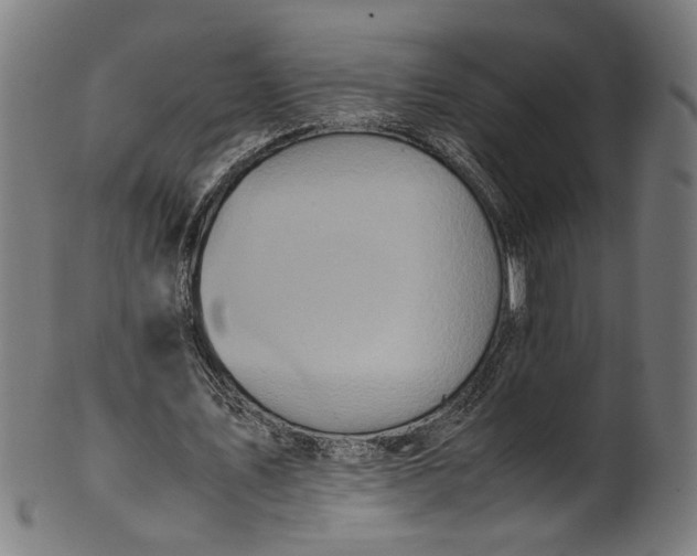 X0000100880579200807111345