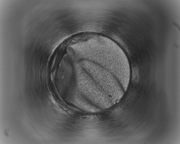 X0000100880580200807111345