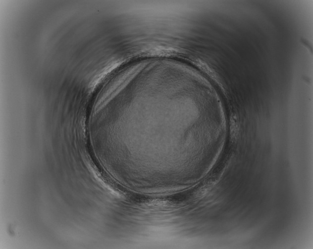 X0000100880581200807111345