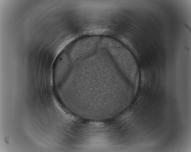 X0000100880582200807111345