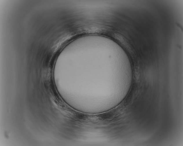 X0000100880583200807111345