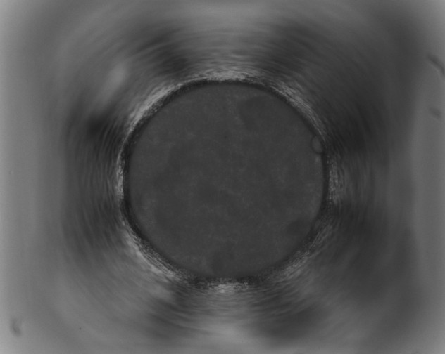 X0000100880584200807111345