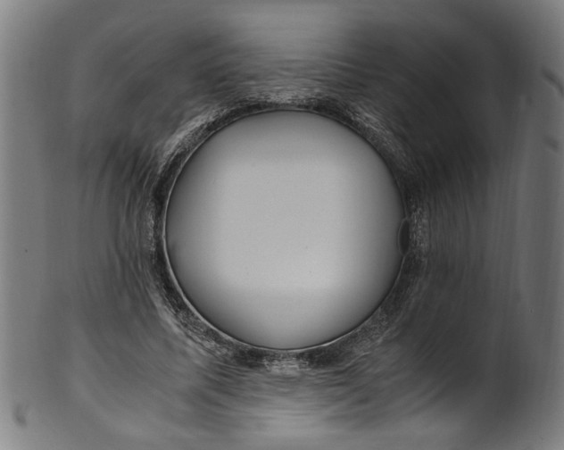 X0000100880587200807111344