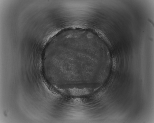 X0000100880588200807111344