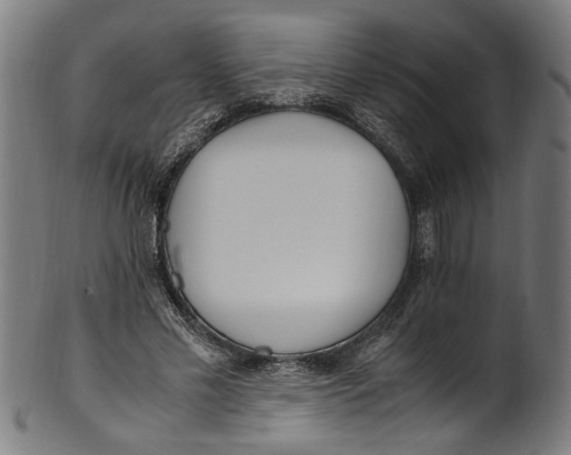 X0000100880589200807111344