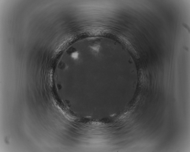 X0000100880590200807111344