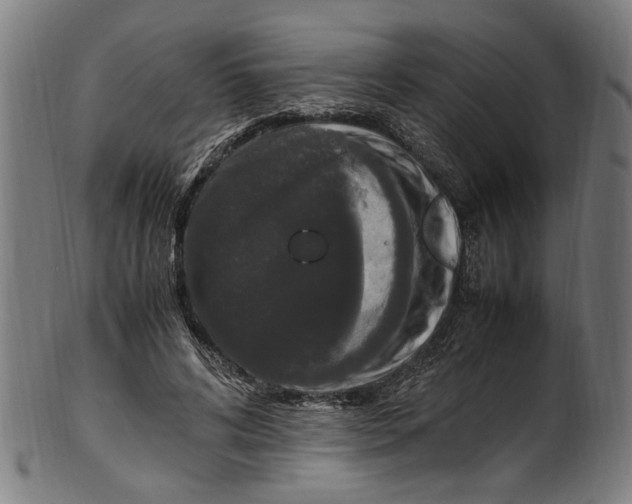 X0000100880592200807111344