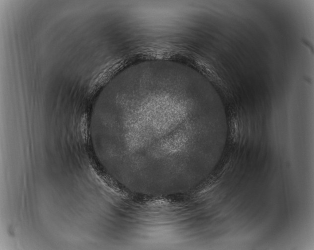 X0000100880594200807111344