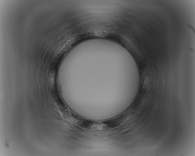 X0000100880595200807111344