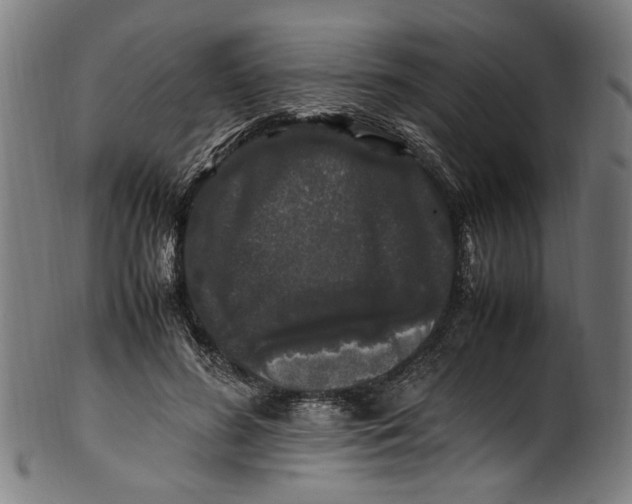 X0000100880596200807111344