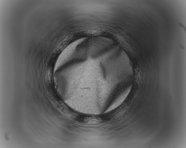 X0000100880597200807111344