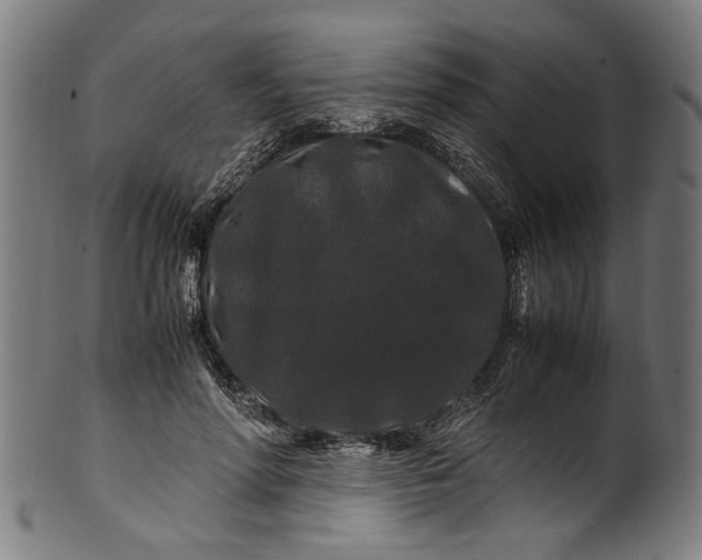 X0000100880598200807111344