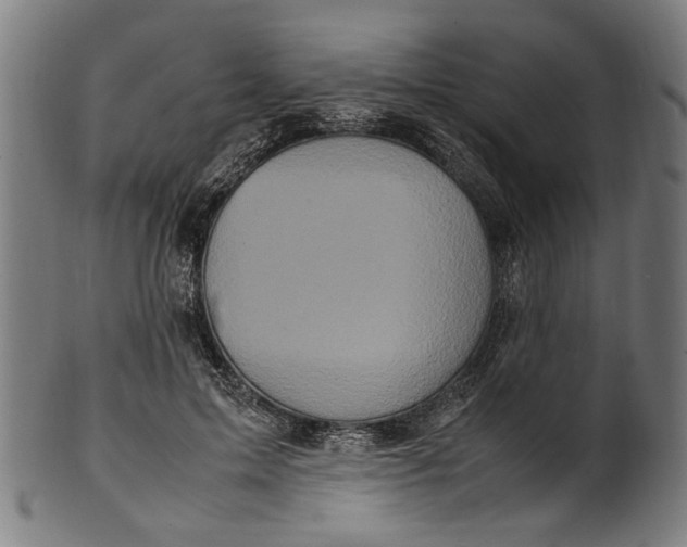 X0000100880599200807111344