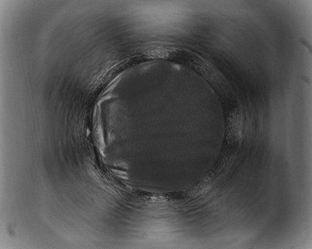 X0000100880600200807111344