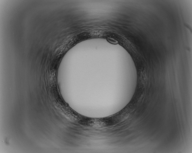 X0000100880601200807111344