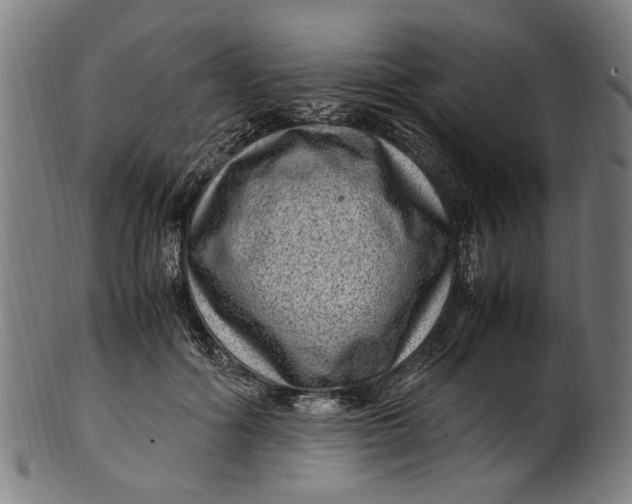 X0000100880602200807111344