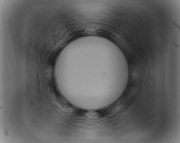 X0000100880603200807111344