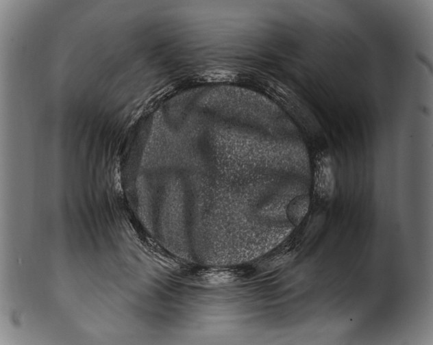 X0000100880604200807111344