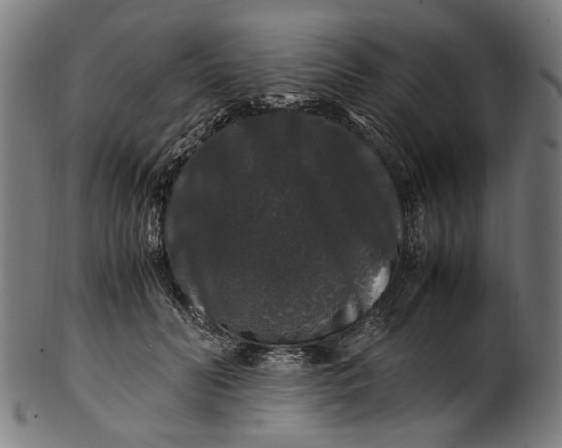 X0000100880606200807111344