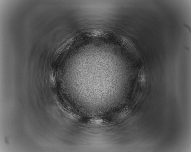 X0000100880607200807111344