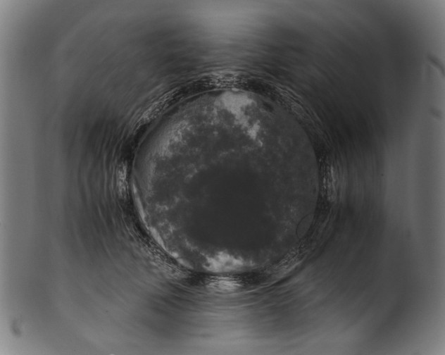 X0000100880610200807111344