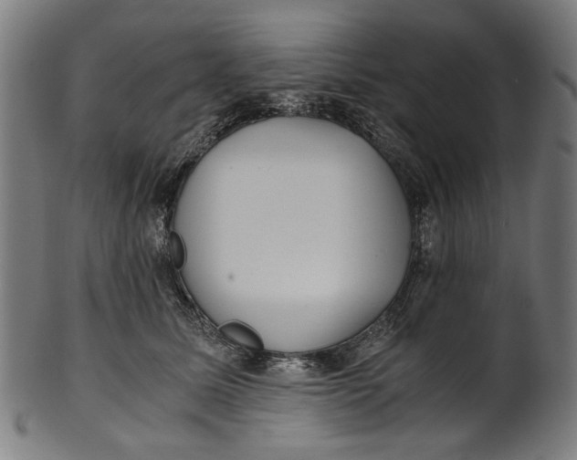 X0000100880611200807111344