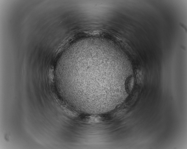 X0000100880612200807111344