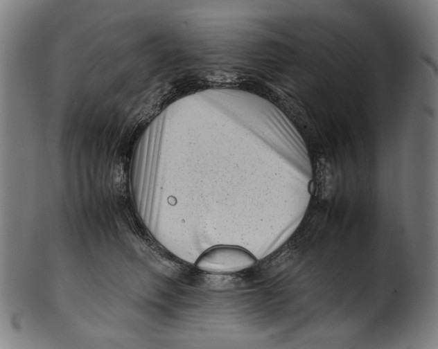 X0000100880614200807111344