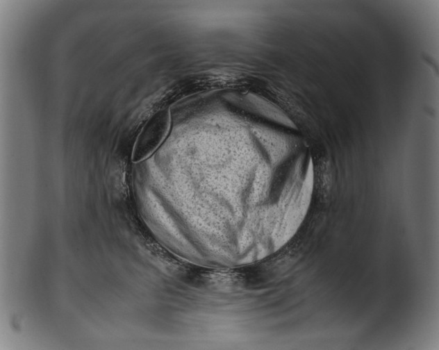 X0000100880615200807111344