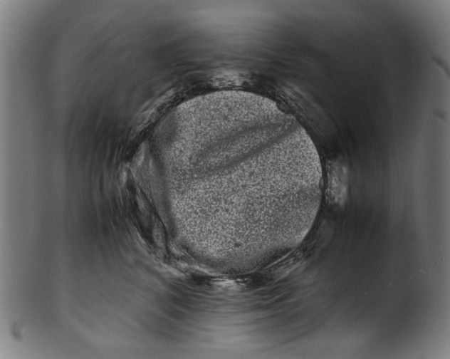 X0000100880616200807111344