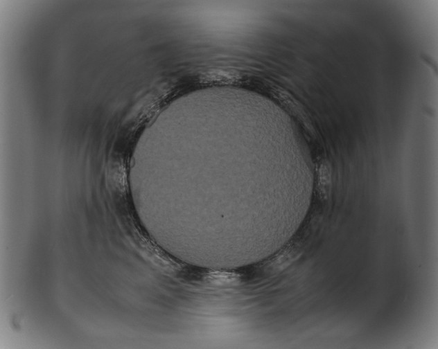 X0000100880617200807111344