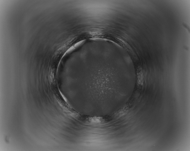 X0000100880618200807111344