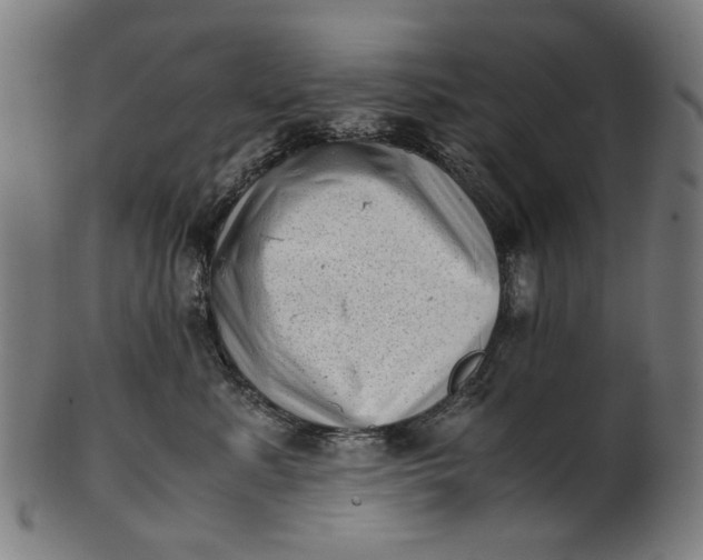 X0000100880619200807111344