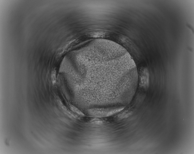 X0000100880620200807111344