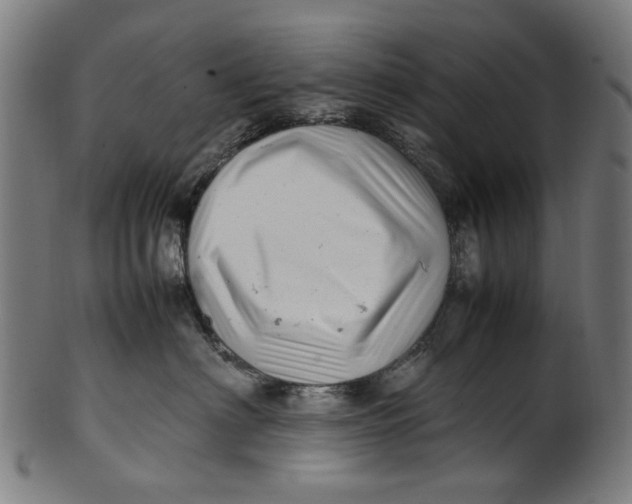 X0000100880622200807111344