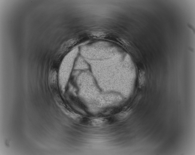 X0000100880623200807111344