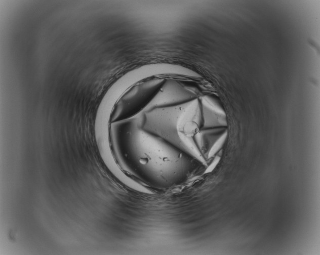 X0000100880624200807111344