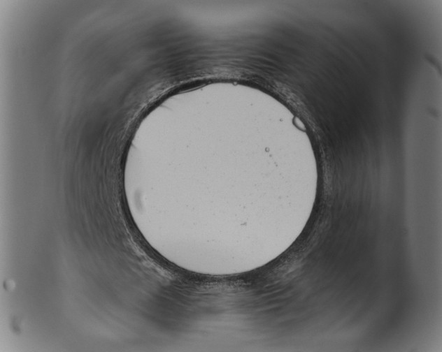 X0000100880625200807111343