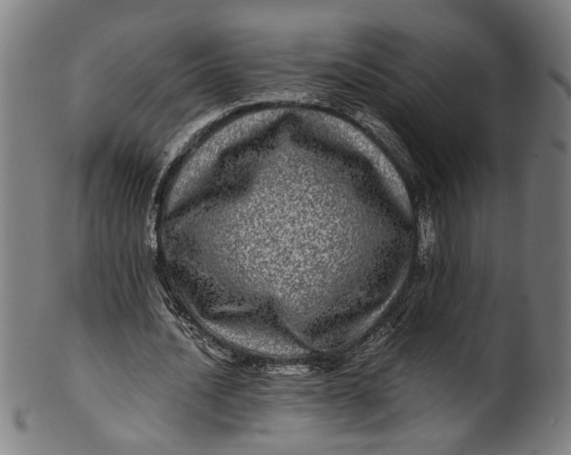 X0000100880628200807111343