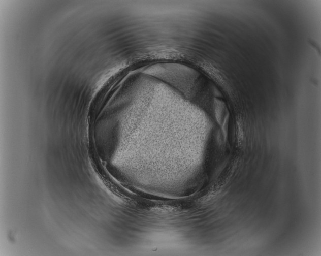 X0000100880630200807111343